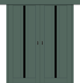 Межкомнатная двойная дверь-купе ДП DIM I-9дк. Seagrass Matt / Lacobel Black