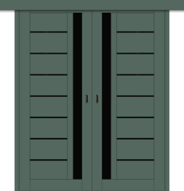 Межкомнатная двойная дверь-купе ДП DIM I-2дк. Seagrass Matt / Lacobel Black