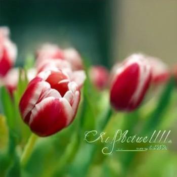 картинка График работы 8 марта в Мск!