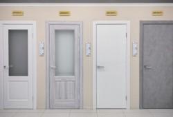 Межкомнатные двери Браво в Рязани