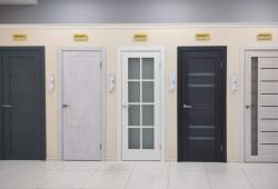 Межкомнатные двери Браво в Рязани