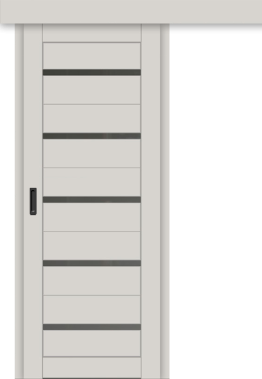 Межкомнатная дверь-купе ДП DIM I-1к Silk Matt / Сатинато Графит