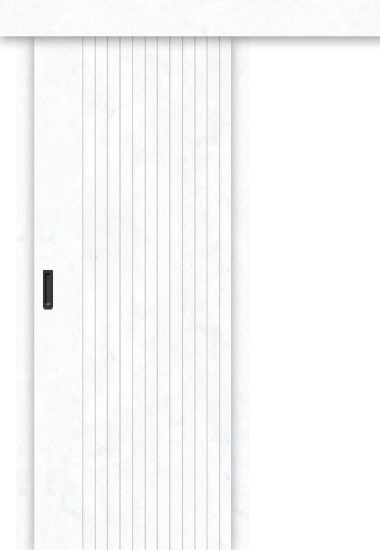 Межкомнатная дверь-купе Граффити-32к Snow Art