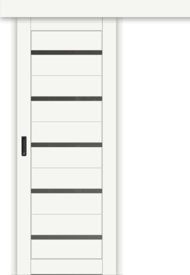 Межкомнатная дверь-купе ДП DIM I-1к Crystal Matt / Сатинато Графит