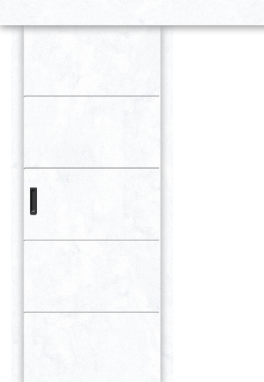 Межкомнатная дверь-купе Граффити-2.Дк Snow Art