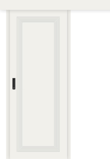 Межкомнатная дверь-купе Граффити-20к Whitey