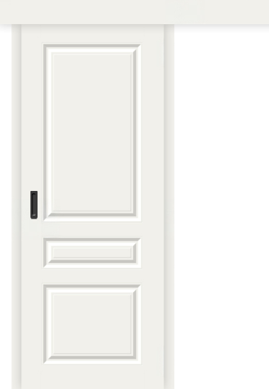 Межкомнатная дверь-купе Скинни-14к Whitey