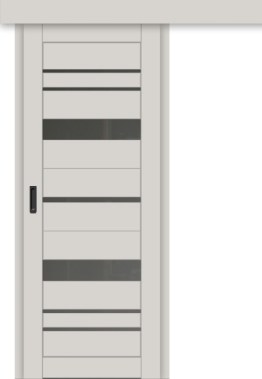 Межкомнатная дверь-купе ДП DIM I-16к Silk Matt / Сатинато Графит