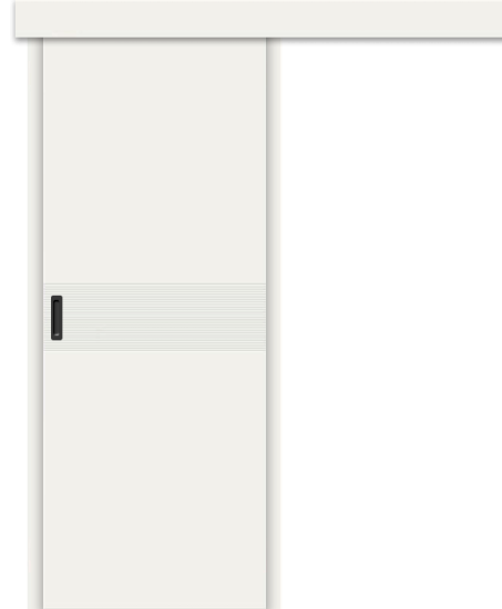 Межкомнатная дверь-купе Граффити-23к Whitey