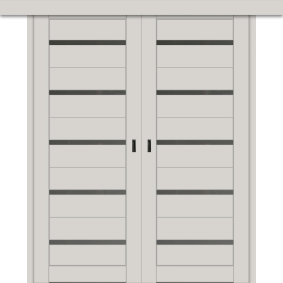 Межкомнатная двойная дверь-купе ДП DIM I-1дк. Silk Matt / Сатинато Графит