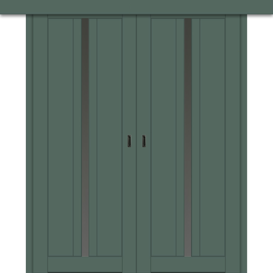 Межкомнатная двойная дверь-купе ДП DIM I-9дк. Seagrass Matt / Сатинато Графит