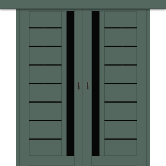 Межкомнатная двойная дверь-купе ДП DIM I-2дк. Seagrass Matt / Lacobel Black