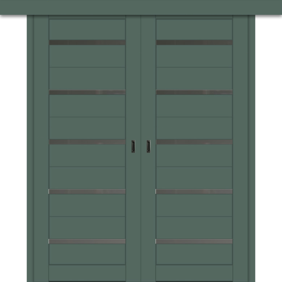 Межкомнатная двойная дверь-купе ДП DIM I-1дк. Seagrass Matt / Сатинато Графит