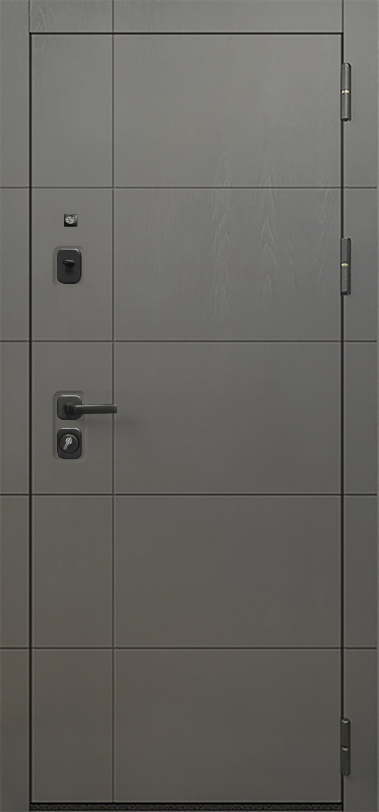 Входная дверь OIKO ACOUSTIC Grafika-2 Grafit Wood/Art Софт белый