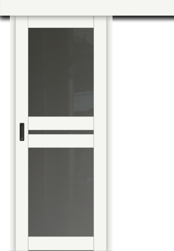 Межкомнатная дверь-купе ДП DIM I-7к Crystal Matt / Сатинато Графит