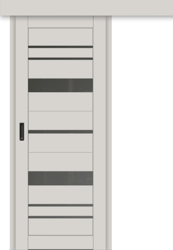 Межкомнатная дверь-купе ДП DIM I-16к Silk Matt / Сатинато Графит