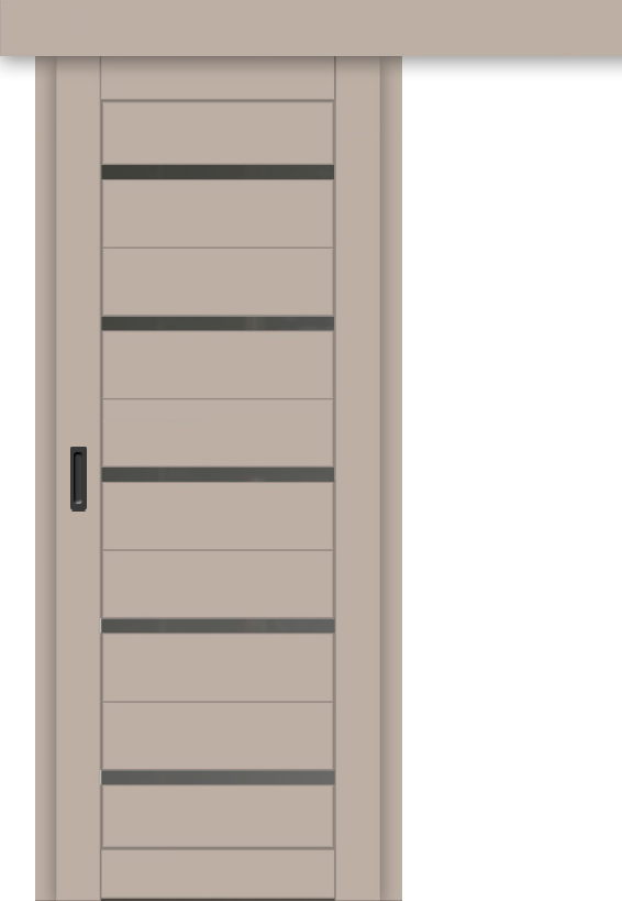 Межкомнатная дверь-купе ДП DIM I-1к Dune Matt / Сатинато Графит