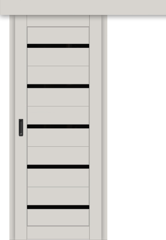 Межкомнатная дверь-купе ДП DIM I-1к Silk Matt / Lacobel Black