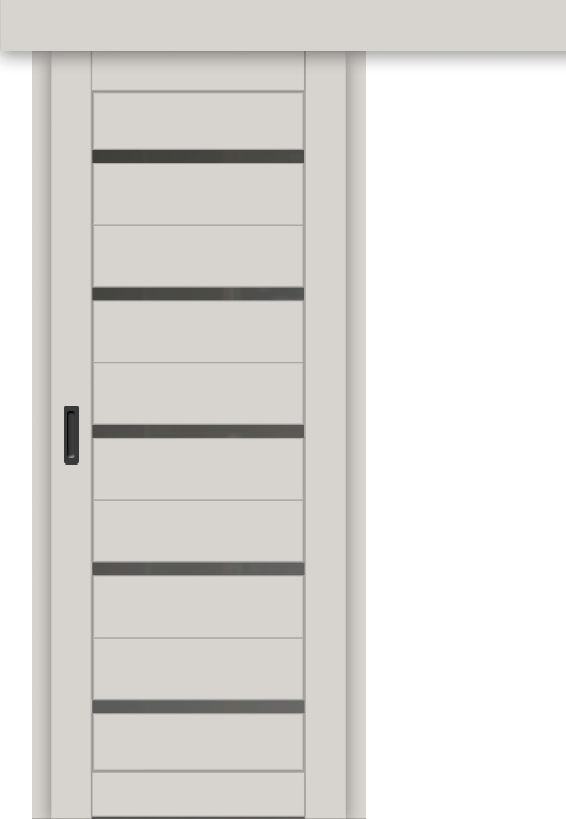 Межкомнатная дверь-купе ДП DIM I-1к Silk Matt / Сатинато Графит