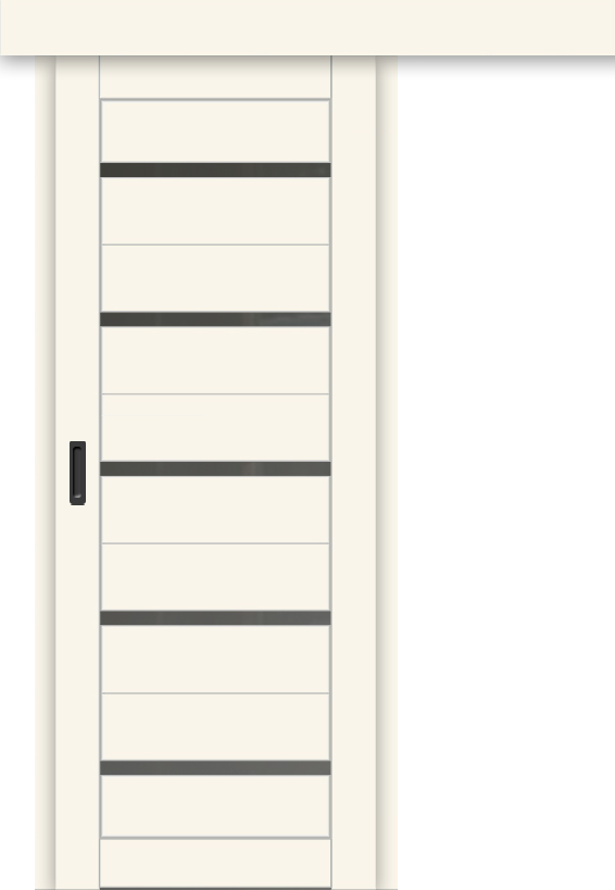 Межкомнатная дверь-купе ДП DIM I-1к Angel Matt / Сатинато Графит