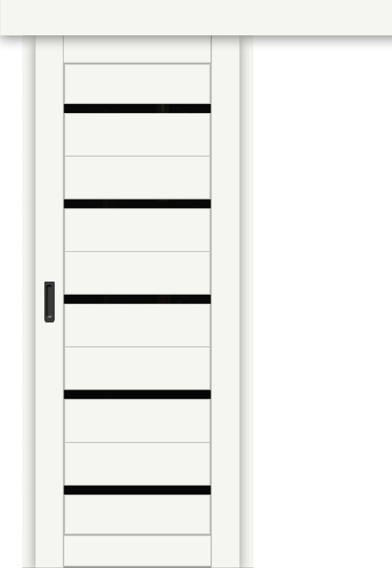 Межкомнатная дверь-купе ДП DIM I-1к Crystal Matt / Lacobel Black