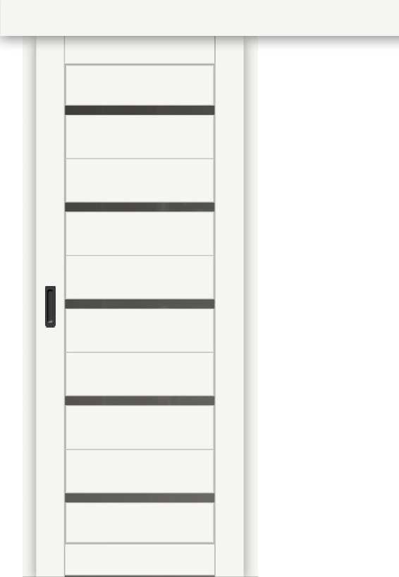 Межкомнатная дверь-купе ДП DIM I-1к Crystal Matt / Сатинато Графит