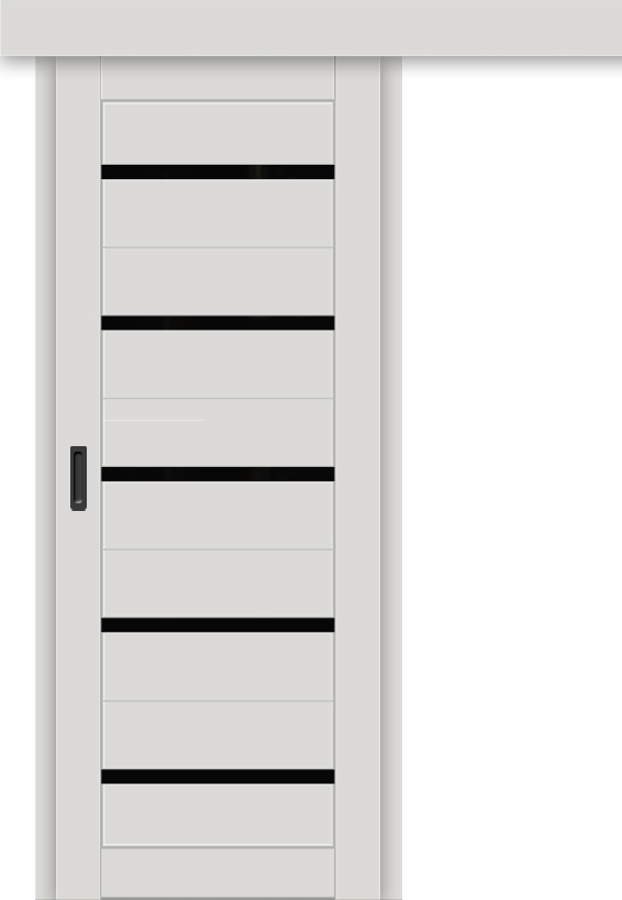 Межкомнатная дверь-купе ДП DIM I-1к Smoky Matt / Lacobel Black