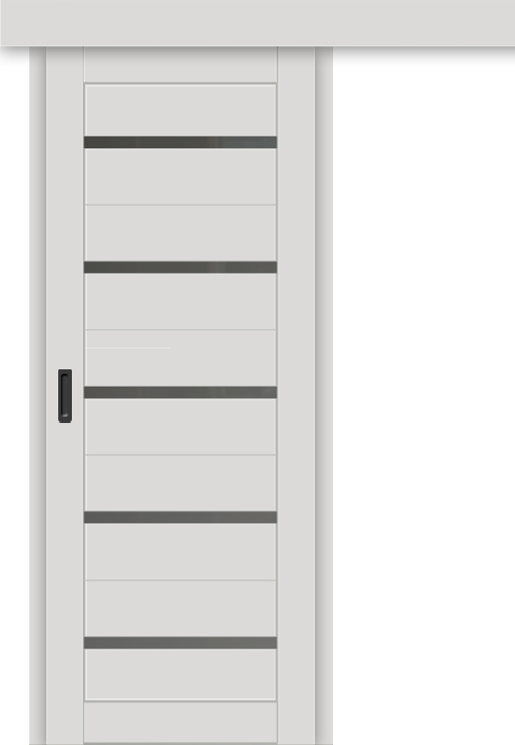 Межкомнатная дверь-купе ДП DIM I-1к Smoky Matt / Сатинато Графит