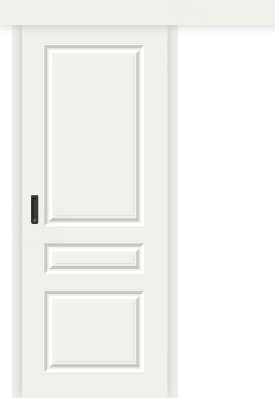 Межкомнатная дверь-купе Скинни-14к Whitey