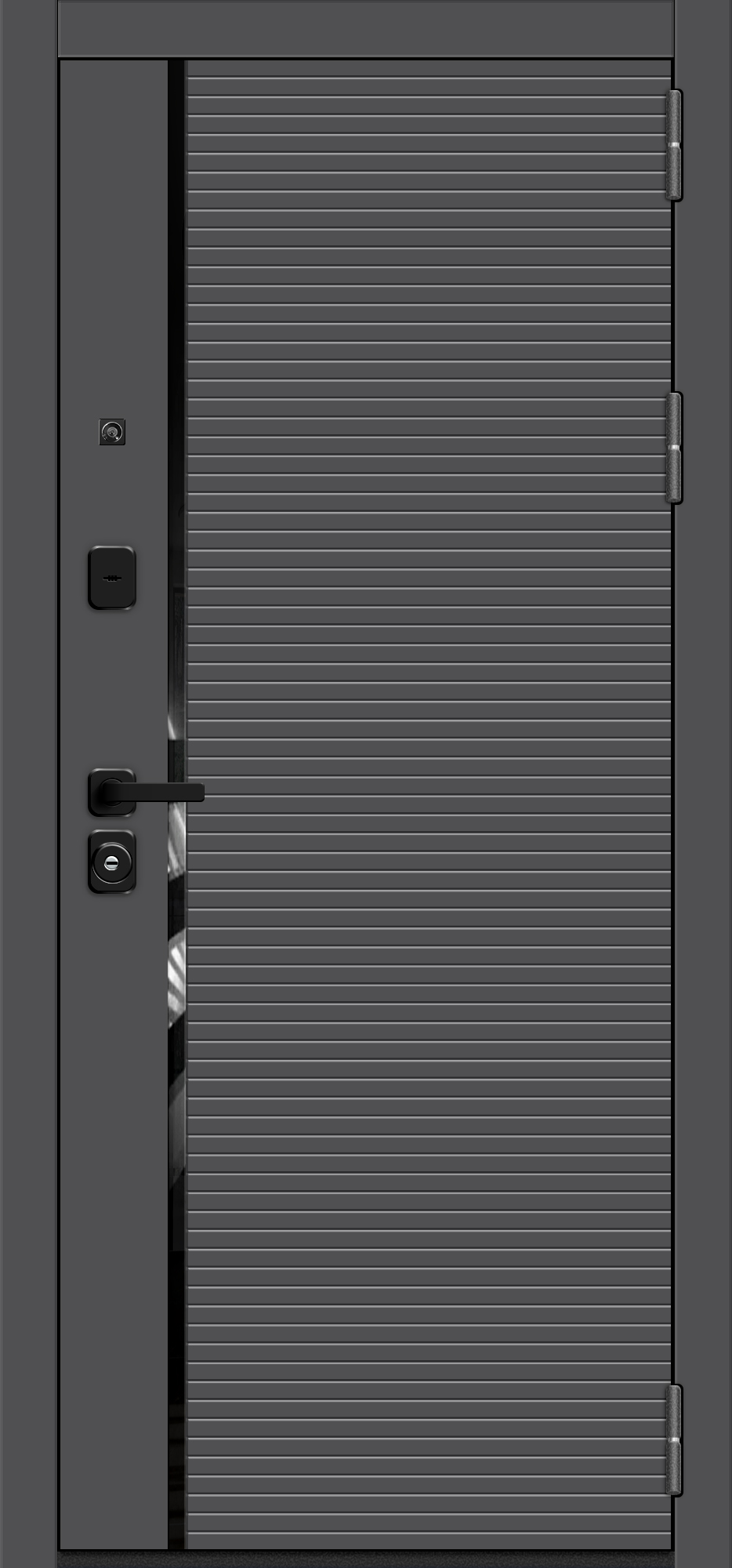 Входная дверь Optim Z-3 Графит/Белый